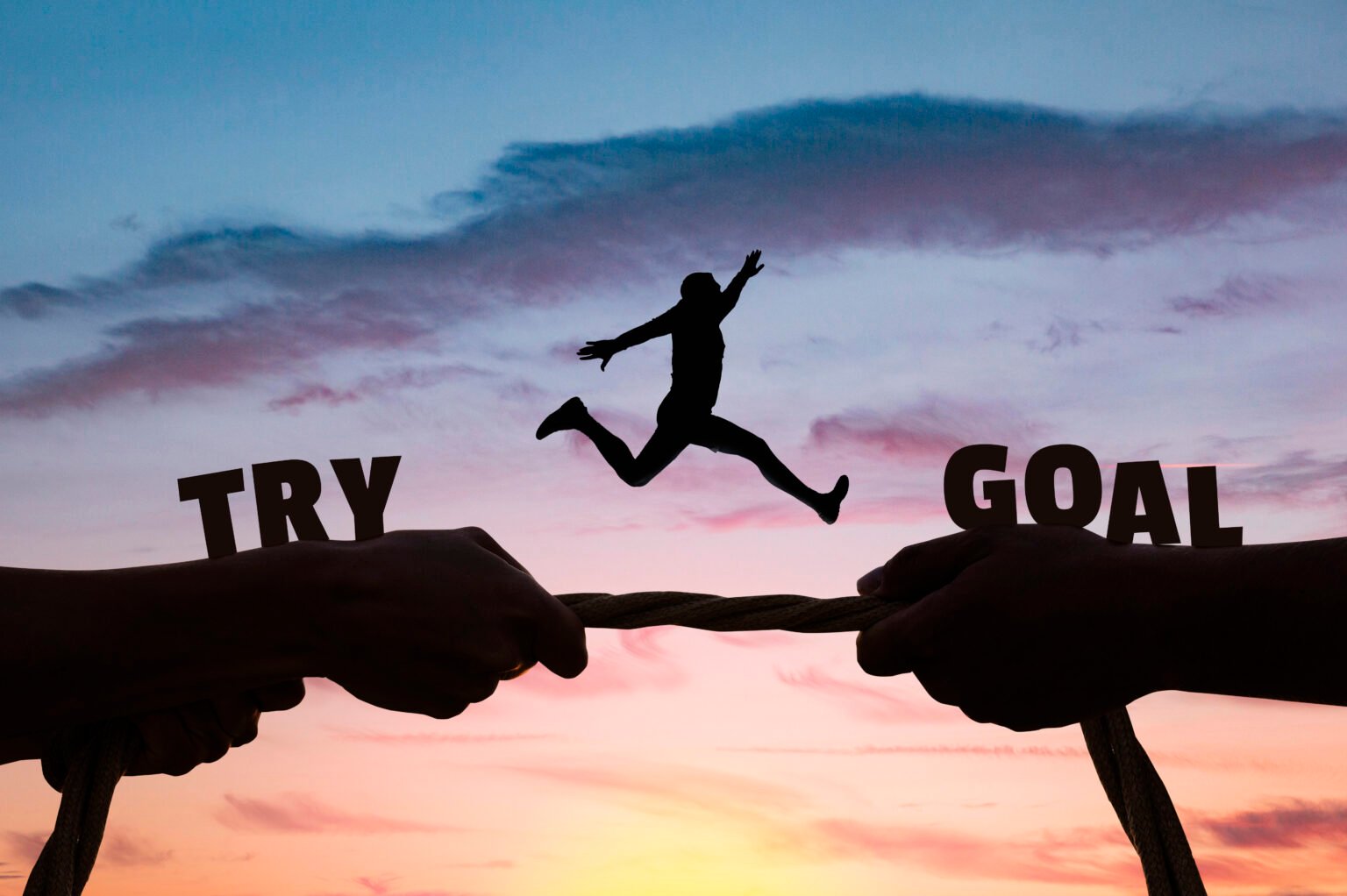 Goal Executing The Art of Goal Setting: Turning Dreams into Achievable Actions - Venus ...